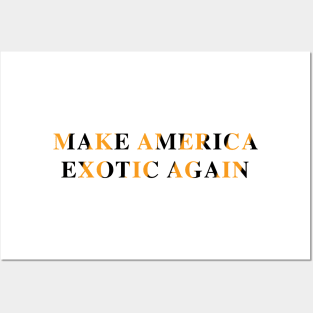 Make America Exotic Again Posters and Art